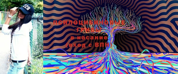 дживик Аркадак