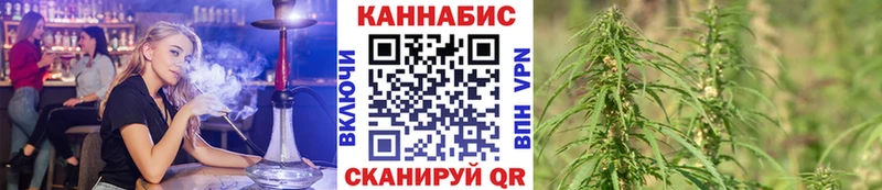 Бошки марихуана THC 21%  Закаменск 